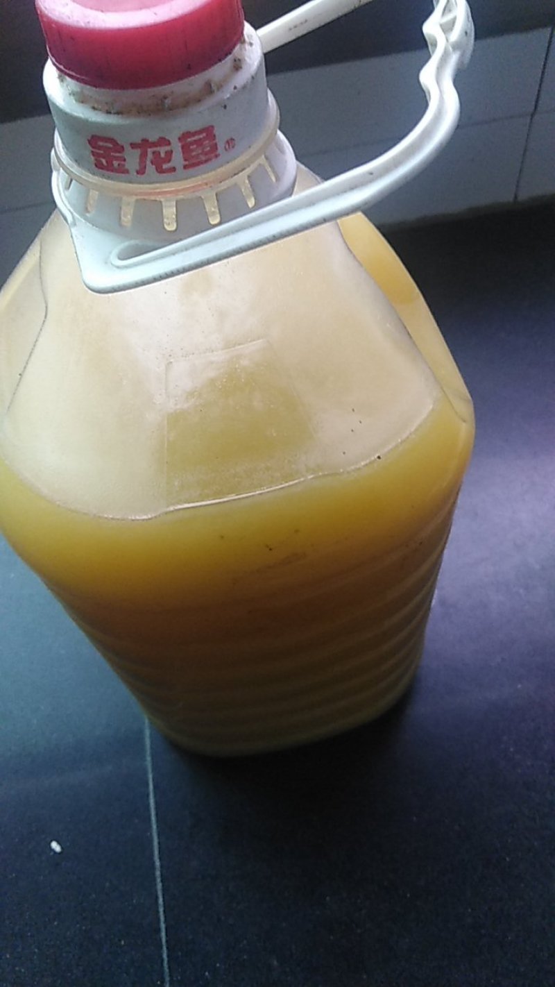 现榨花生油起批10斤。可视频看货。是自家种在山坡上的自产
