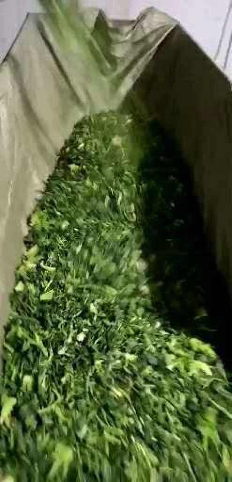 荠菜馅一件30斤，可对接饭店商超，一手货源，欢迎咨询采购