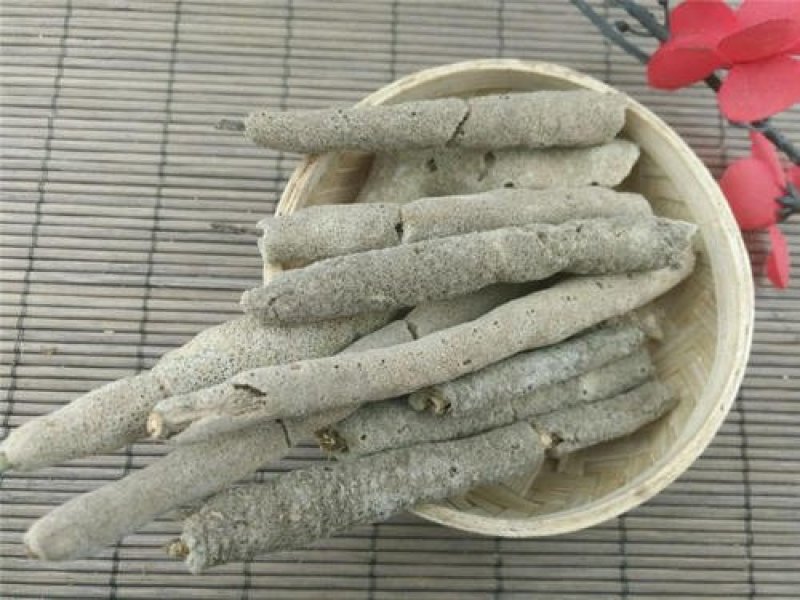 紫梢花，常年批发供应各种规格紫梢花量大从优货真价实
