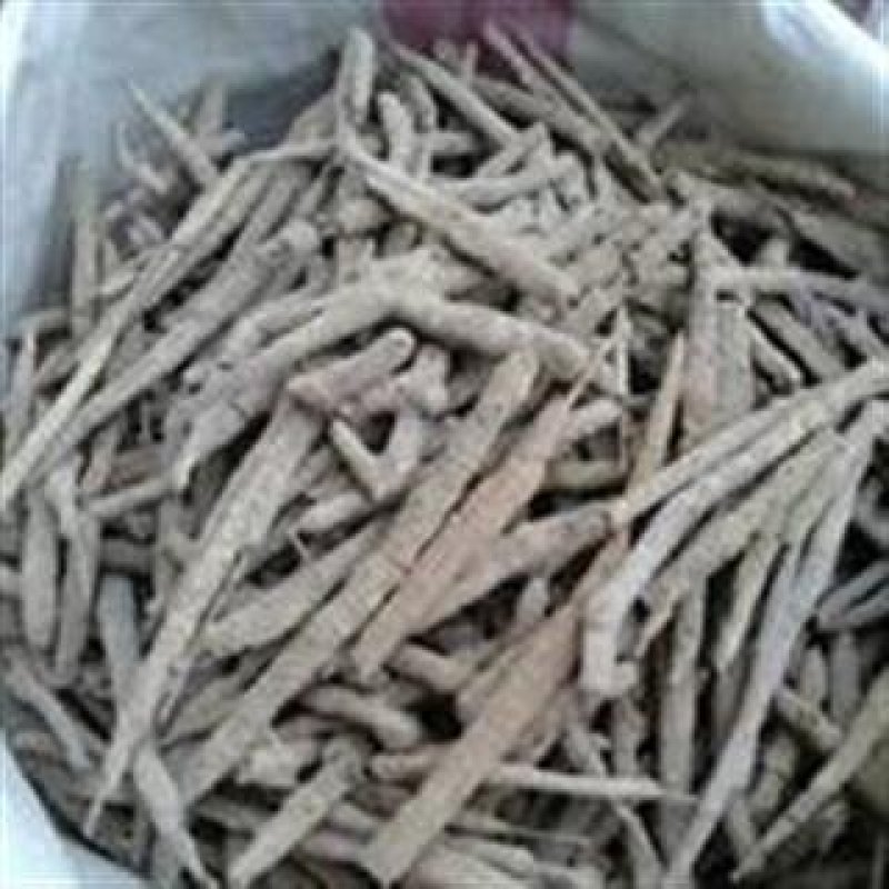 紫梢花，常年批发供应各种规格紫梢花量大从优货真价实