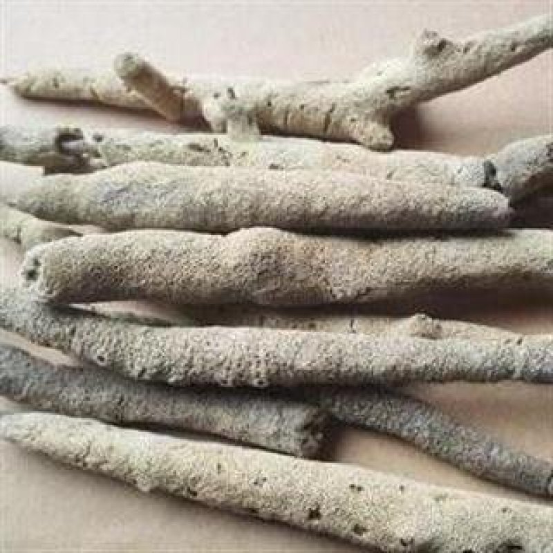 紫梢花，常年批发供应各种规格紫梢花量大从优货真价实