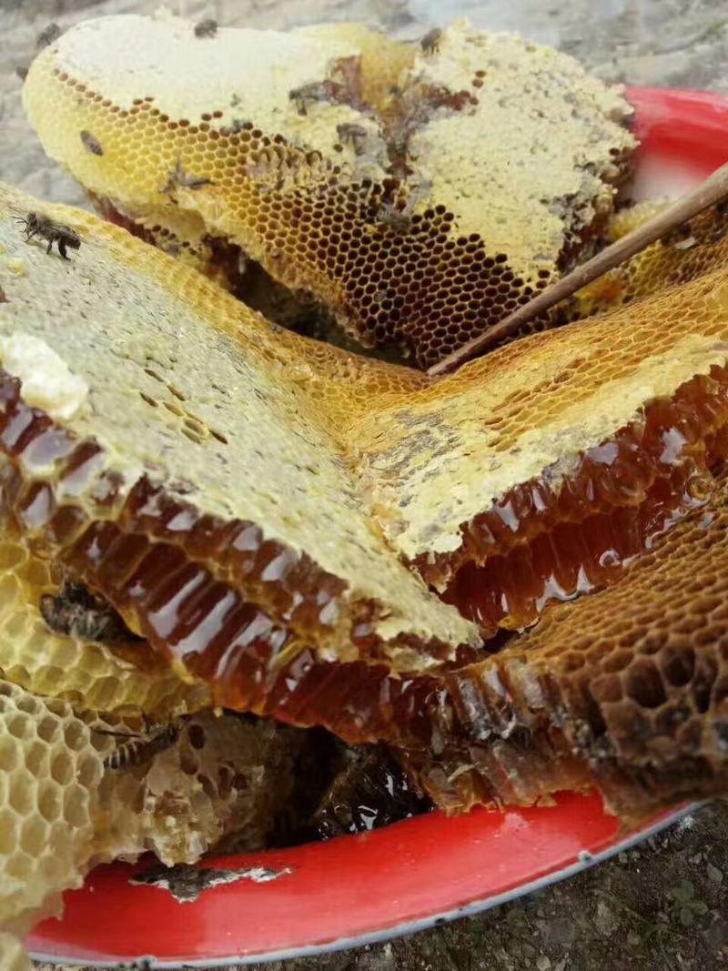 【聚便宜】🌸来自深山养殖的蜂蜜土蜂蜜保质保量