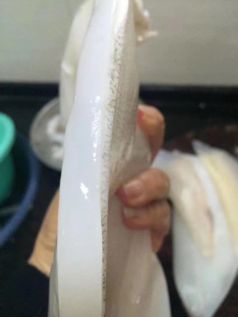 母鱿。。。。。。。。。。。。。。。。。。。。