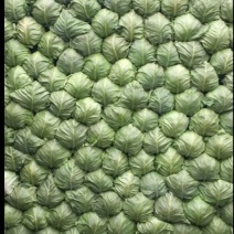 甘蓝