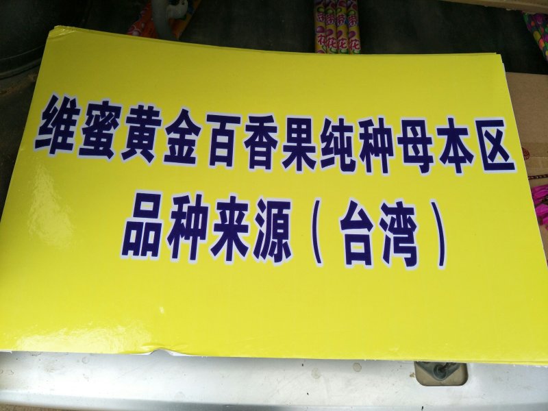 新品种维蜜百香果营养杯苗