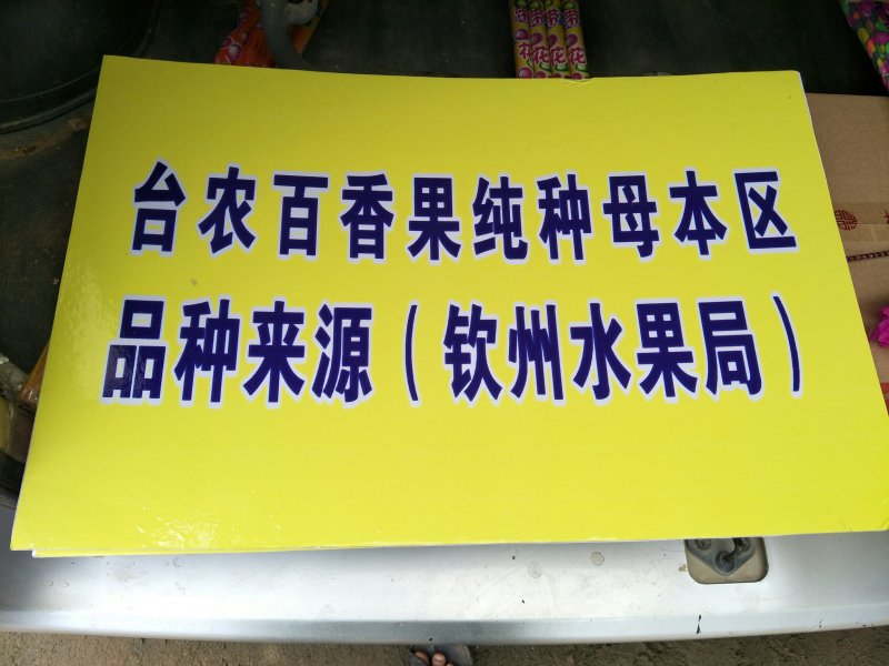 台农百香果苗