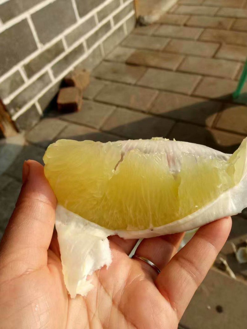批发零售四大名柚之一梁平柚