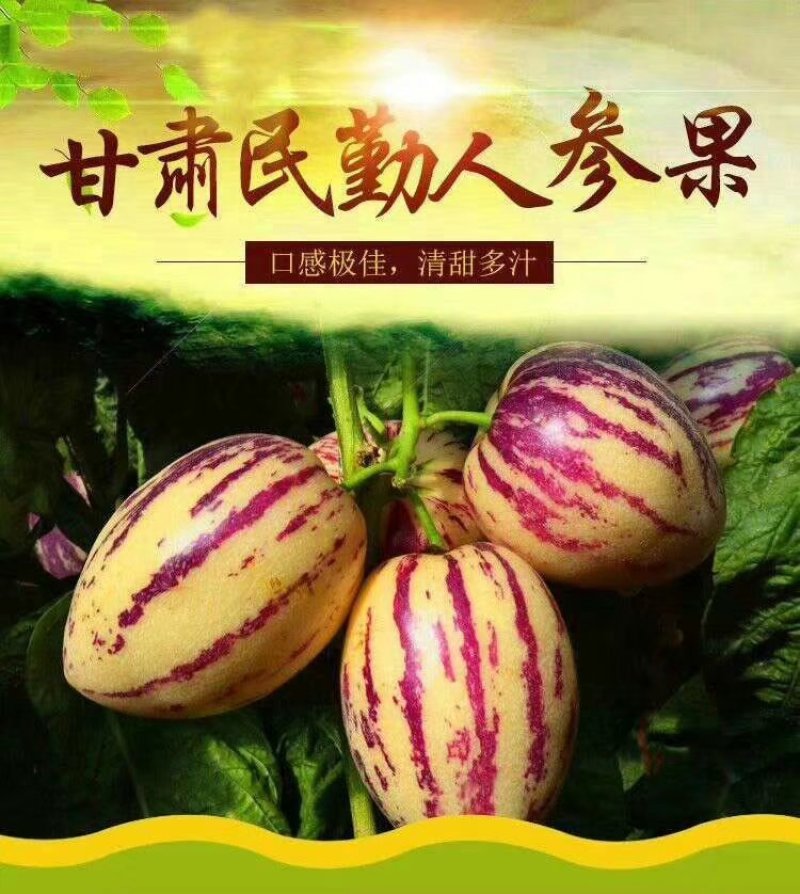 甘肃民勤人参果，专业代办，大漠珍品，营养价值高。诚信为本