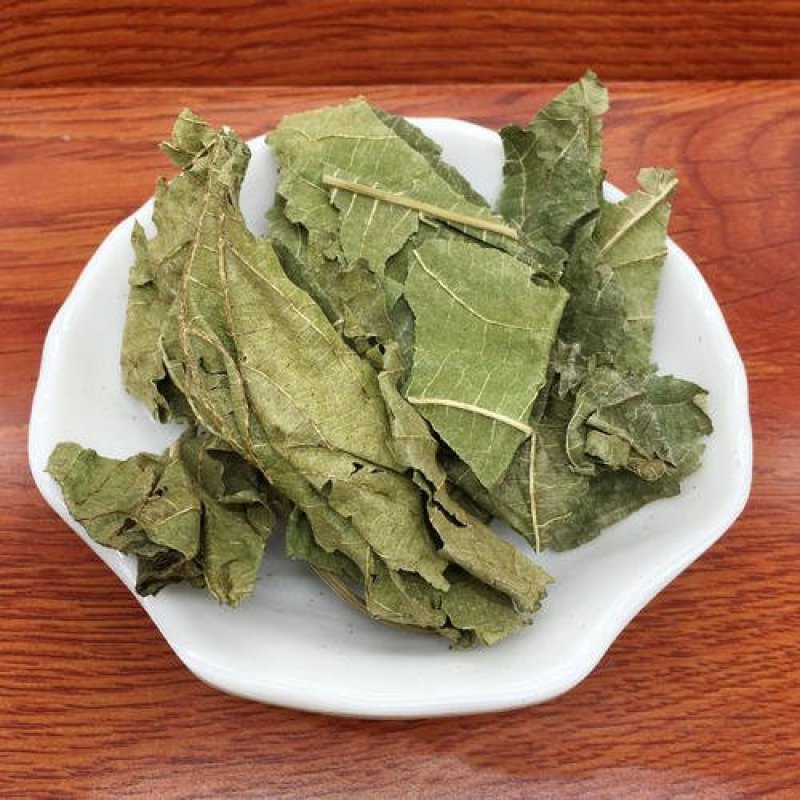 桑叶，常年批发供应各种规格桑叶霜打桑叶