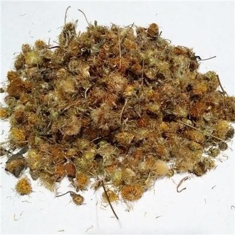 常年批发代购旋复花各个产地量大从优