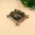 常年批发代购芙蓉叶量大从优