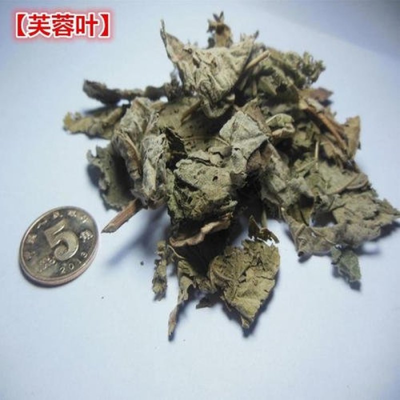 常年批发代购芙蓉叶量大从优