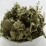 常年批发代购芙蓉叶量大从优