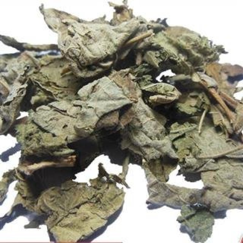 常年批发代购芙蓉叶量大从优