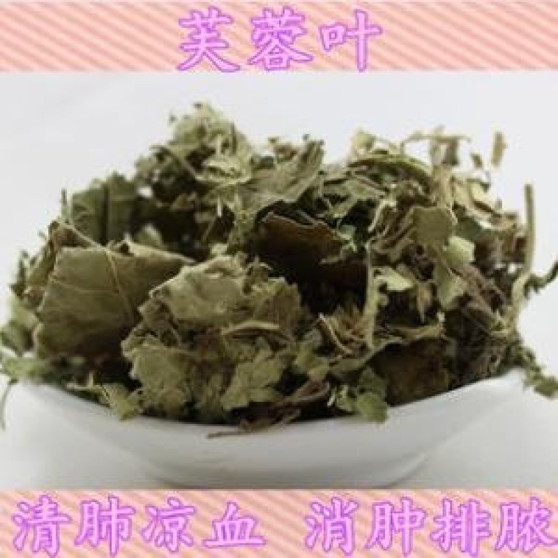 常年批发代购芙蓉叶量大从优
