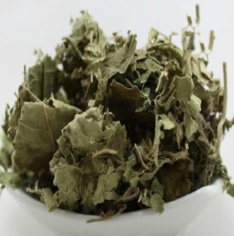 常年批发代购芙蓉叶量大从优