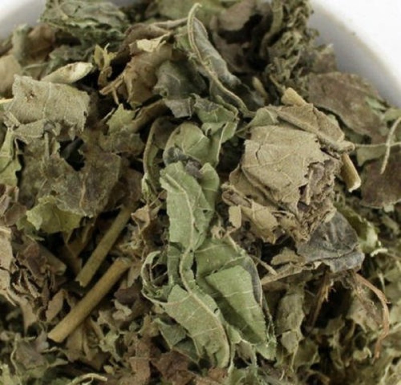 常年批发代购芙蓉叶量大从优