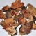 常年批发代购木棉花量大从优