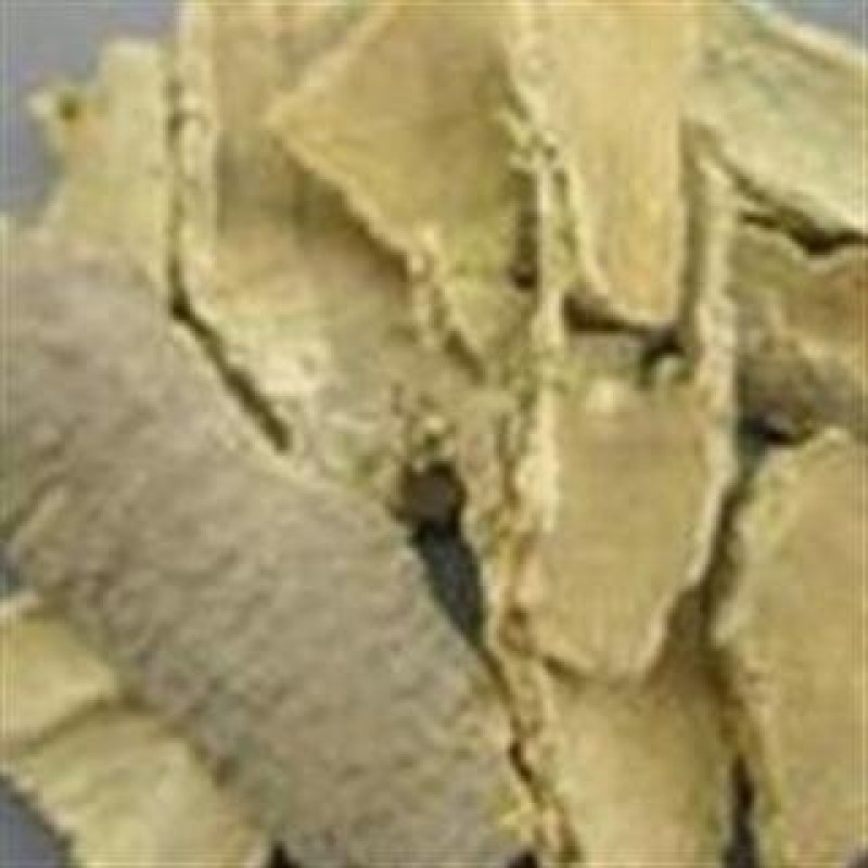 常年批发代购椿皮量大从优