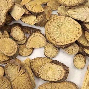 常年批发代购青风藤湖北货量大从优