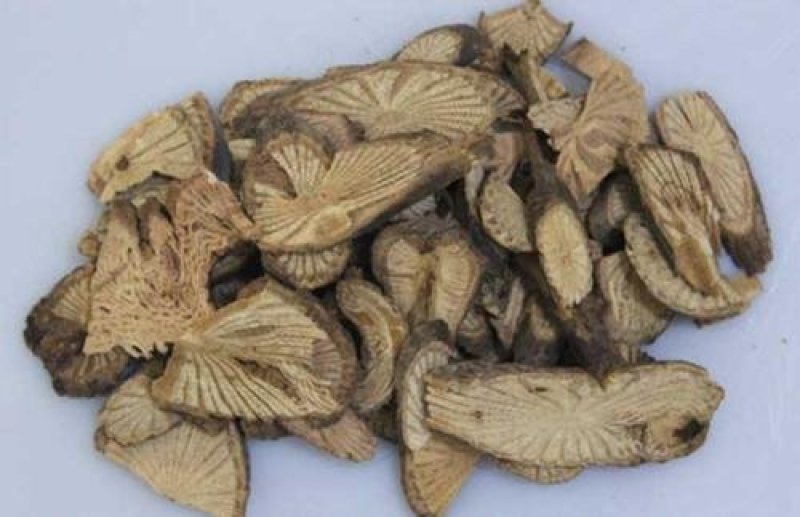 常年批发代购青风藤湖北货量大从优