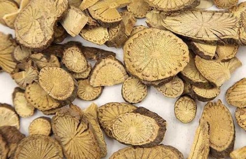 常年批发代购青风藤湖北货量大从优