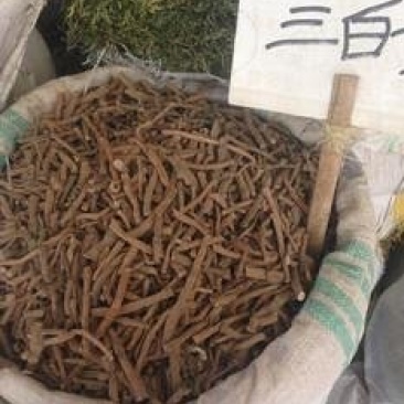 三白根，常年批发供应冷背中药材三白根，量大从优