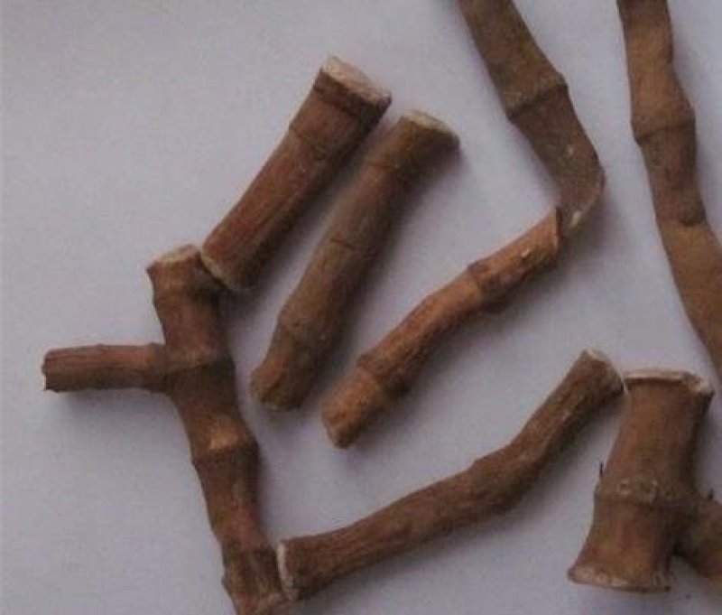 三白根，常年批发供应冷背中药材三白根，量大从优