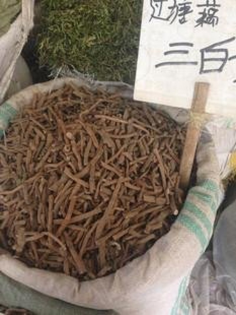 三白根，常年批发供应冷背中药材三白根，量大从优