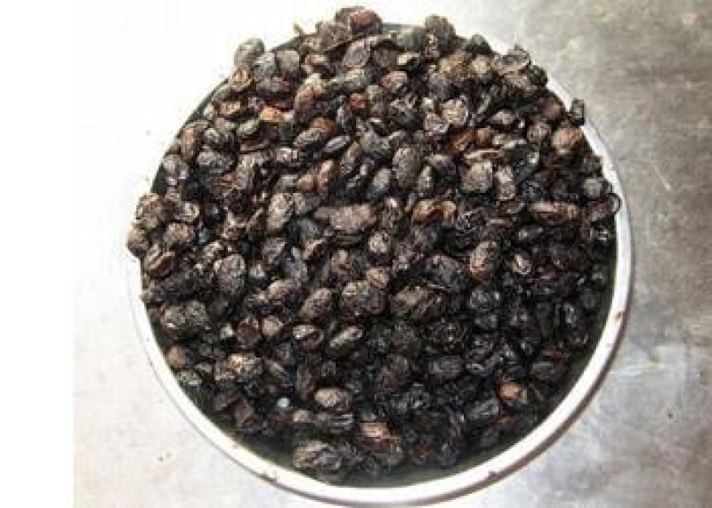 常年批发代购淡豆豉河南货量大从优