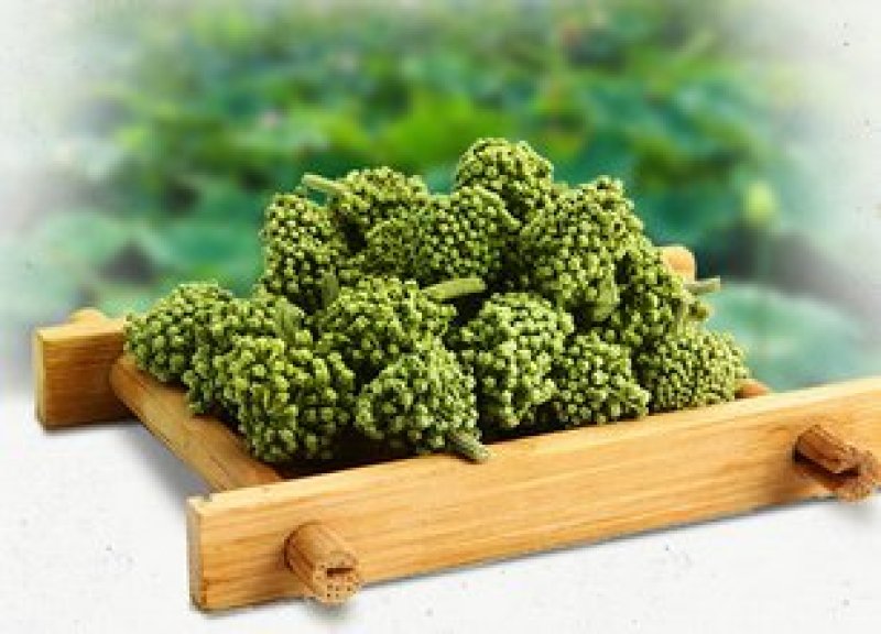 三七花，常年批发供应药食同源各种规格三七花
