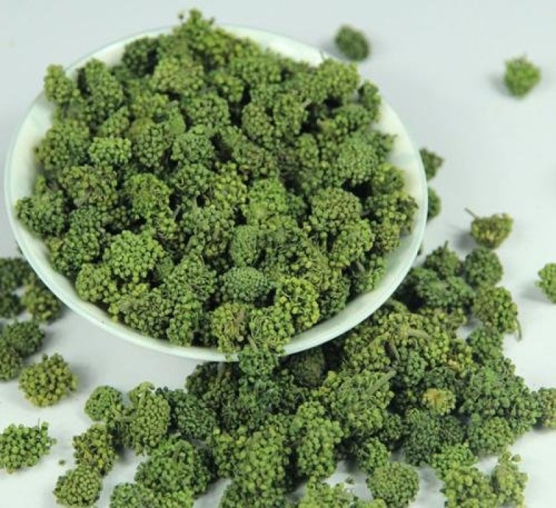 三七花，常年批发供应药食同源各种规格三七花