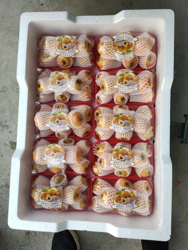 枇杷