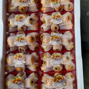 枇杷