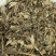 牡荆叶，常年批发供应冷背中药材牡荆叶