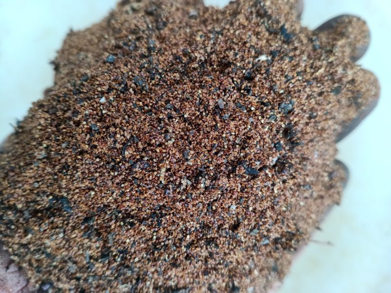 第三代奇特养生果红参果基地直供保证种子质量