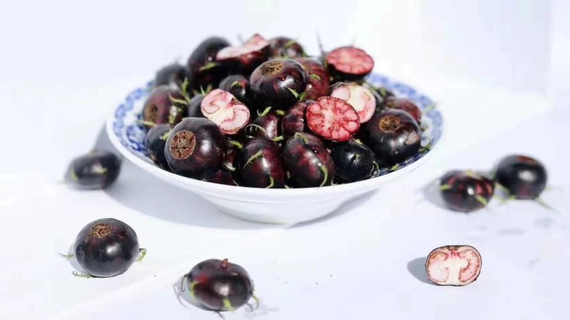 第三代奇特养生果红参果基地直供保证种子质量