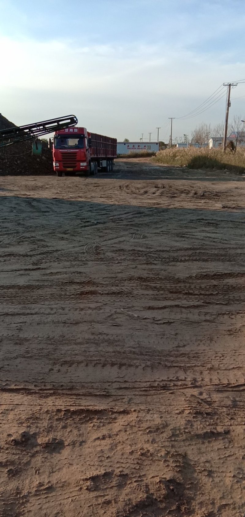 高温发酵纯羊粪