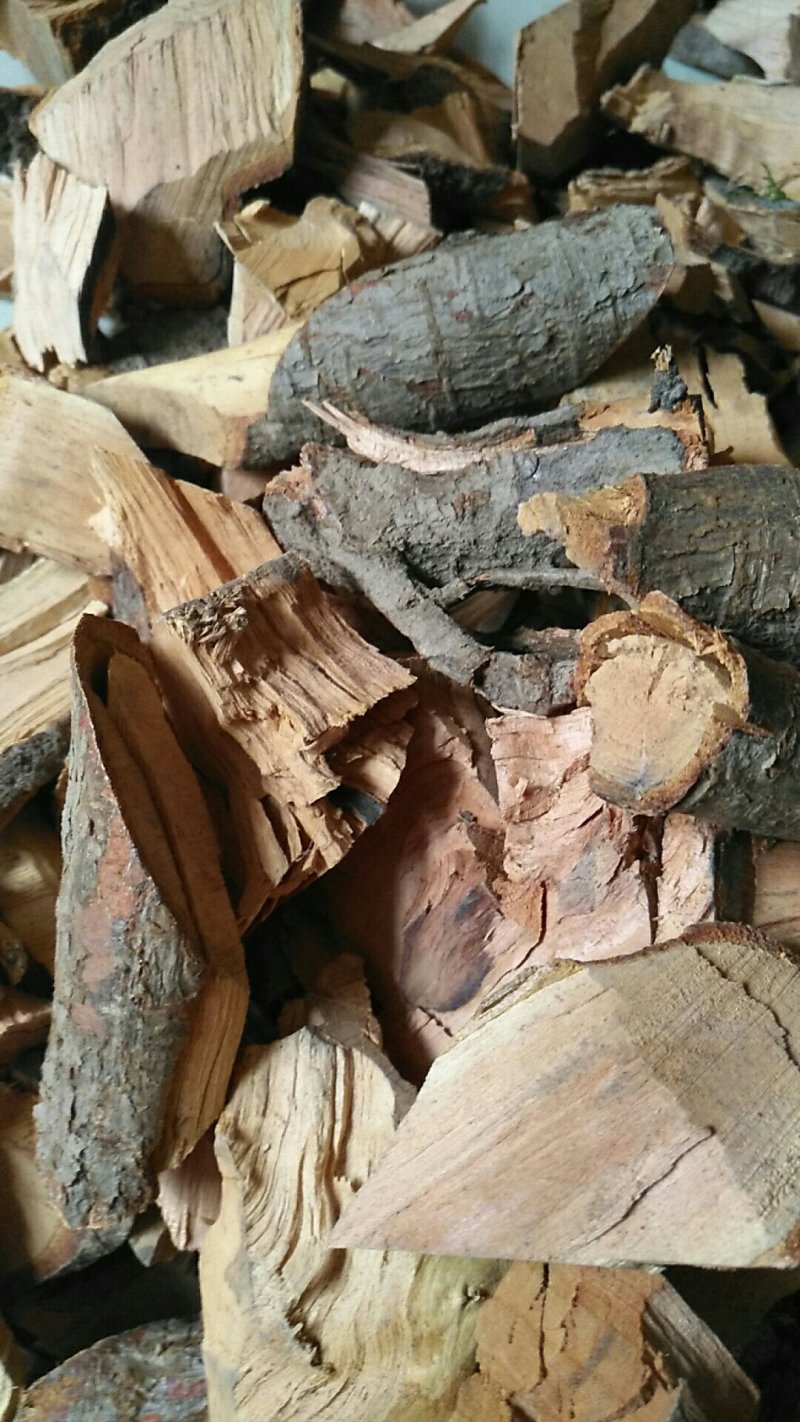 野酸枣树根酸枣仁根野枣树根枣根正品干货促销