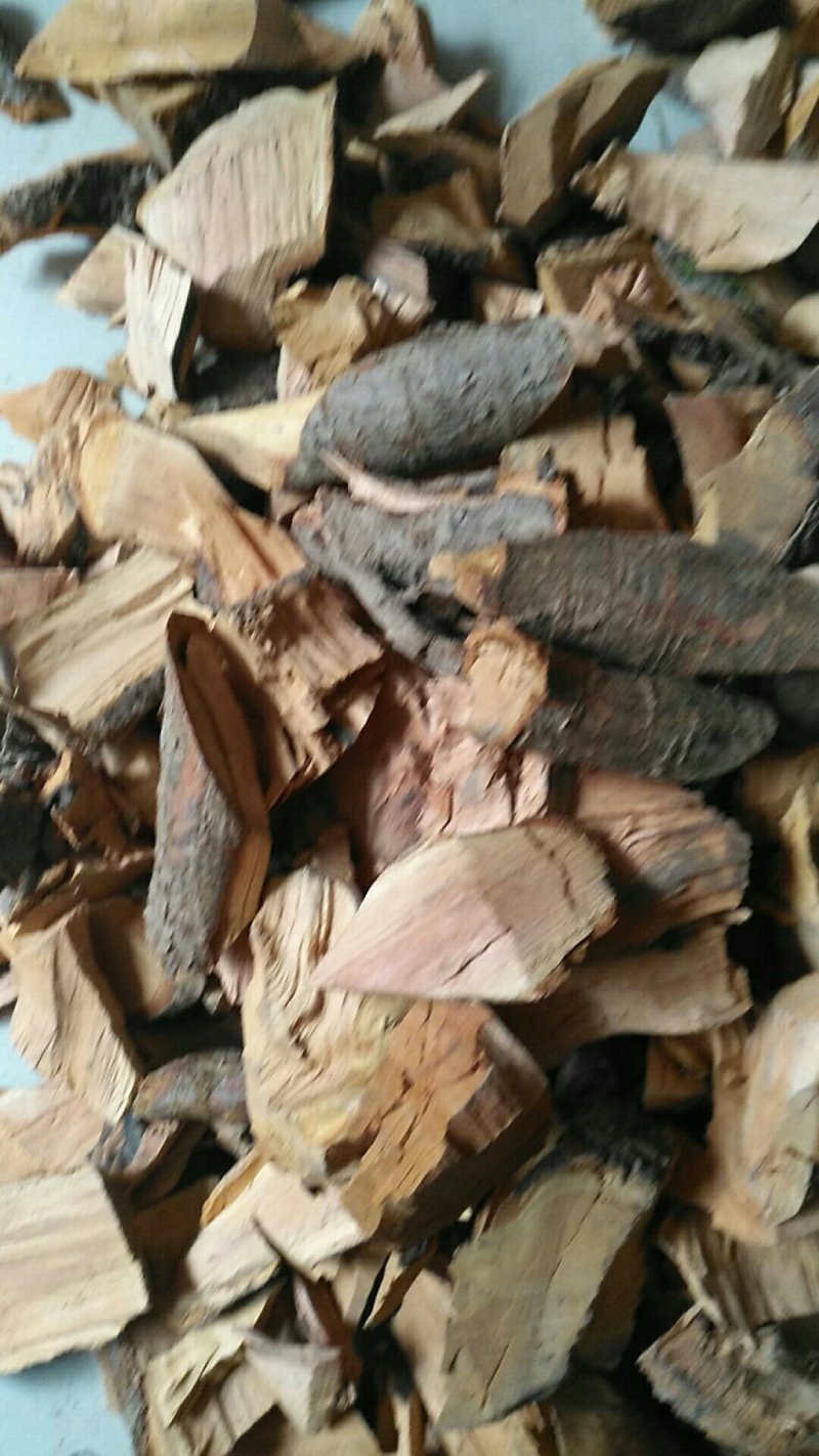 野酸枣树根酸枣仁根野枣树根枣根正品干货促销
