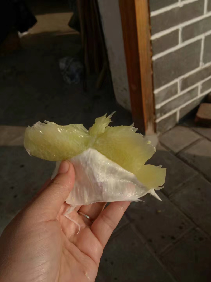 四大名柚梁平柚批发零售量大价格好说欢迎来购