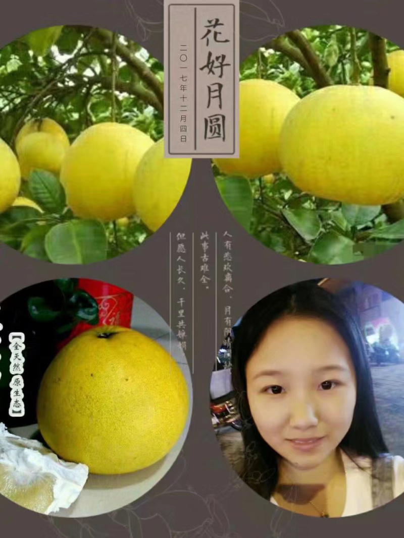 四大名柚梁平柚批发零售量大价格好说欢迎来购