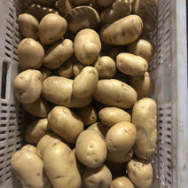 150g以上土豆