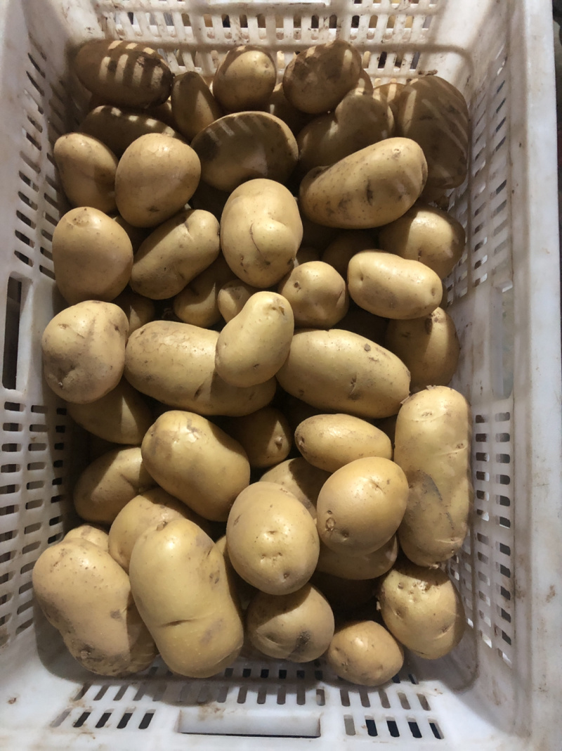 150g以上土豆