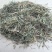 半边莲，常年批发供应农副产品，中草药半边莲，