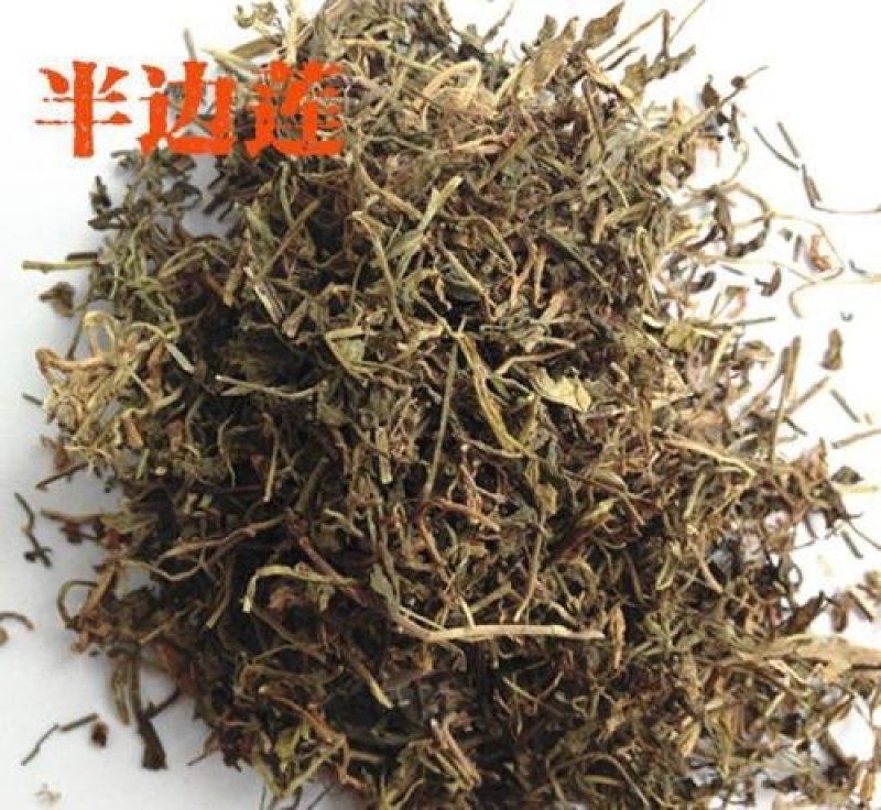 半边莲，常年批发供应农副产品，中草药半边莲，