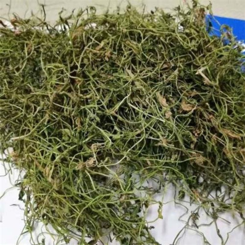 半边莲，常年批发供应农副产品，中草药半边莲，
