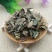 仙鹤草，常年批发供应农副产品仙鹤草，量大从优货真价实