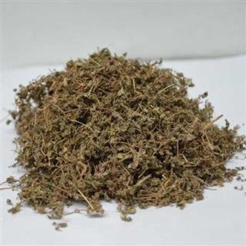 地锦草，常年批发供应冷背中药材，地锦草量大从优