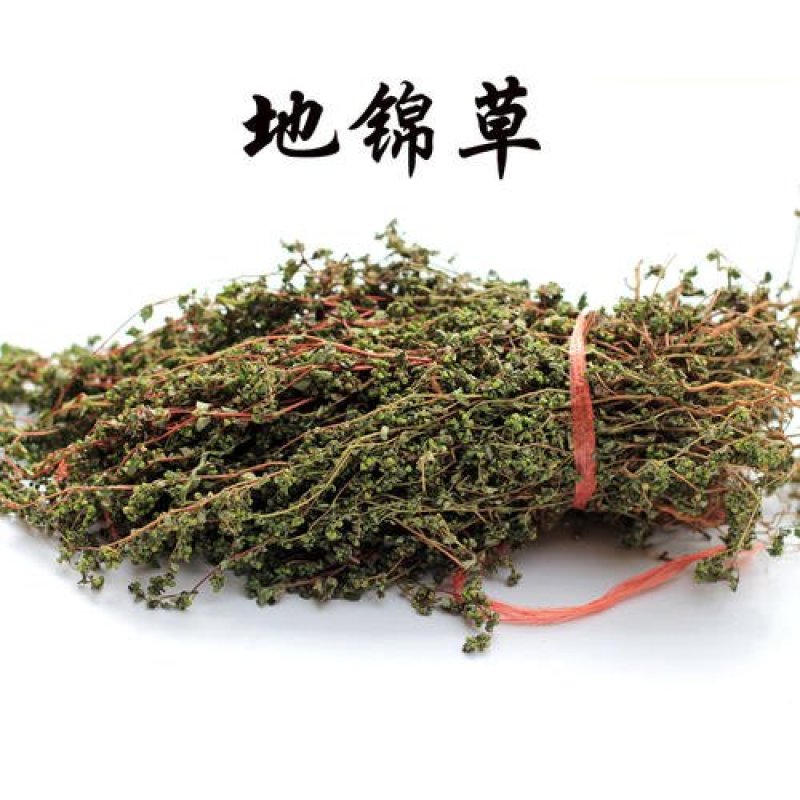 地锦草，常年批发供应冷背中药材，地锦草量大从优